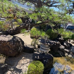 伐採、草刈り、剪定プロ - 地元のお店