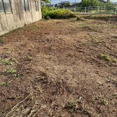 伐採、草刈り、剪定プロ − 広島県