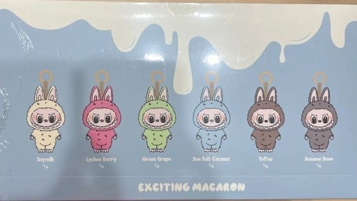 正規品】マカロン ラブブ Exciting Macaron アソートボックス