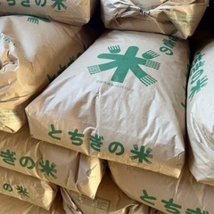 【数量限定】【農家直売】令和6年産コシヒカ リ 10キロ・20キロ・30キロの画像