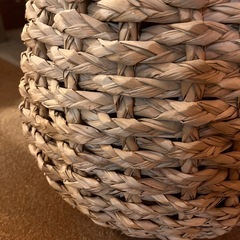 鉢カバー 8号用Lush Basket stemの画像
