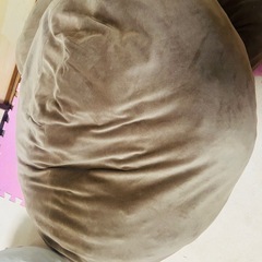 ブラウンオーバル型2クッションの画像