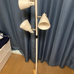 スダンドライト2本セットの画像