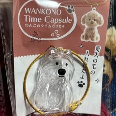 ⭐️新品未使用⭐️わんこのタイムカプセル
の画像