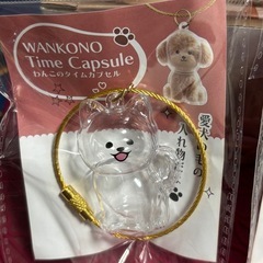 ⭐️新品未使用⭐️わんこのタイムカプセル
の画像