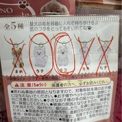 ⭐️新品未使用⭐️わんこのタイムカプセル
の画像