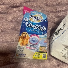 犬用紙おむつSの画像