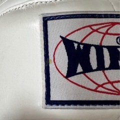 WINDYヘッドギアの画像