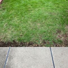 ☆全額翌日振込☆　5時間の草取り作業補助スタッフ募集【副業歓迎】【主婦歓迎】【65歳以上歓迎】【障がい者歓迎】の画像