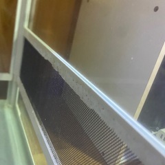 サンコー　パンテオン　6045の画像