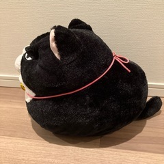 猫のぬいぐるみの画像