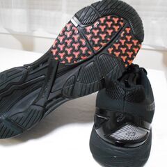 未使用　ASICS GEL-DS TRAINER 25cm　アシックスランニングシューズの画像