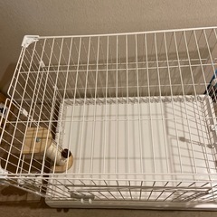 キャットケージの画像