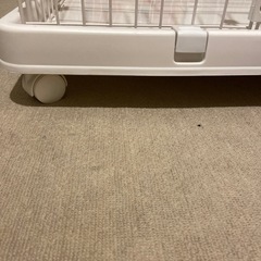 キャットケージの画像