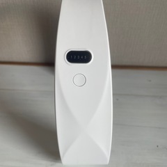 リーフレスハンギングネックファン　の画像