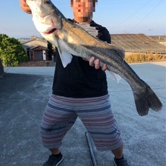 【手作り】泳がせ（のませ）釣り仕掛けの画像