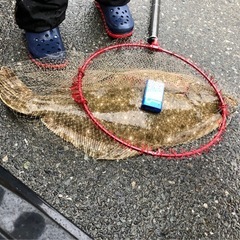 【手作り】泳がせ（のませ）釣り仕掛けの画像