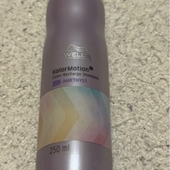 PINK AGE ブラウンウィッグ セット(ウエラカラーシャンプー付)の画像