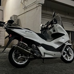 pcx125125の画像