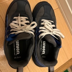 安全靴　25.5センチの画像