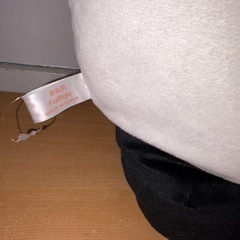 GYP1006 50周年記念 パンダコパンダ パパンダ BIGぬいぐるみ の画像