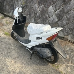ホンダ　ライブディオ　zx仕様の画像