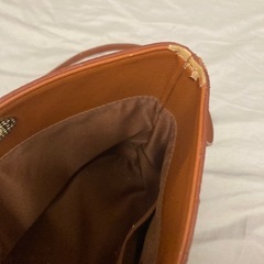 ションダーバッグの画像