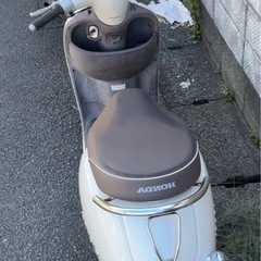 ホンダ ジョルノ セル1発‼️の画像