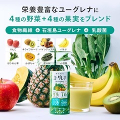 【新品】からだにユーグレナ グリーンスムージー 乳酸菌 15本入 砂糖不使用 食物繊維の画像