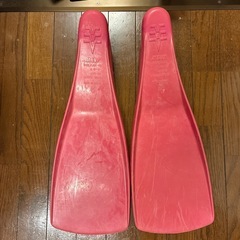 gull  フィンの画像
