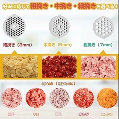 Hanchen ミンサー ミンチ機プレート付き 肉ひき/野菜/みじん切り 電動式の画像