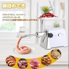 Hanchen ミンサー ミンチ機プレート付き 肉ひき/野菜/みじん切り 電動式の画像
