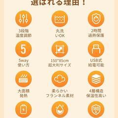 ⭐️新品未使用⭐️電気毛布 掛け敷き 洗える USB給電 ふわふわ フランネル 電気ブランケットの画像