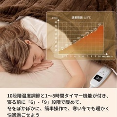 電気毛布 2025新登場【発熱の新時代 】高級フランネル両面仕様 10段階温度調節＆省エネタイマー（1-8時間） 188×130cmの画像