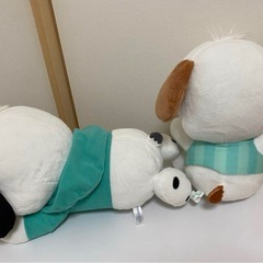 ポチャッコ　ぬいぐるみの画像