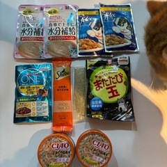 猫 パウチフード 　の画像