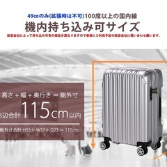 シフレ TRIDENT トライデント TRI2035 49cmの画像