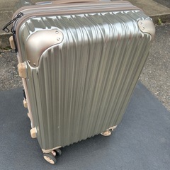 シフレ TRIDENT トライデント TRI2035 49cmの画像