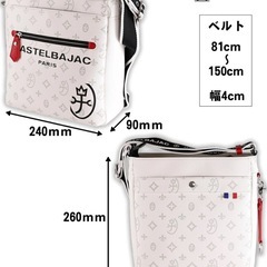 極美品【ロワール限定ブルー】 カステルバジャック ショルダーバッグ　ブルーの画像