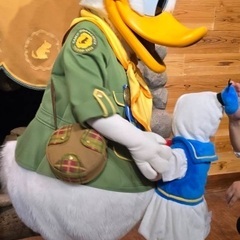 ドナルド着ぐるみ95サイズの画像