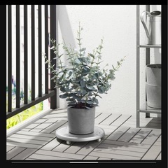 IKEA フェイクグリーンの画像