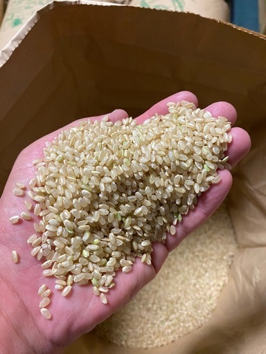 令和７年度産　ひのひかり　玄米　
30キロ