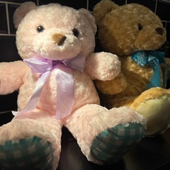 【超美品！】ラブリーローズベア ブラウン&ピンク2種セットの画像
