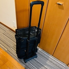 キャリー付き保冷バッグ 黒の画像