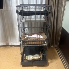 猫　ゲージの画像