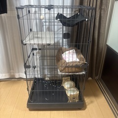 猫　ゲージの画像