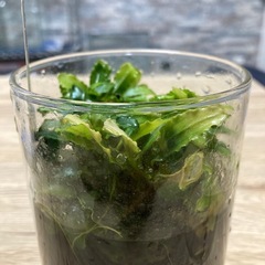 ブセファランドラ ティアグリーンの画像