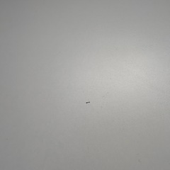ローテーブルホワイトニトリの画像