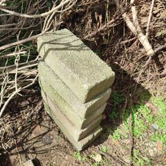 コンクリートブロック 約20x10cm DIY 園芸 庭の装飾 あるだけの画像