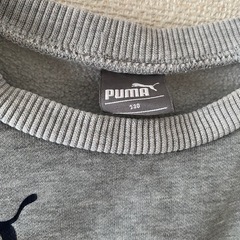 男児PUMA（130）の画像